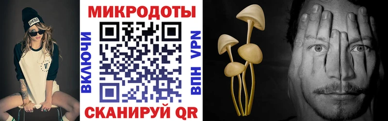 кракен зеркало  хочу   Шумиха  Галлюциногенные грибы Magic Shrooms 